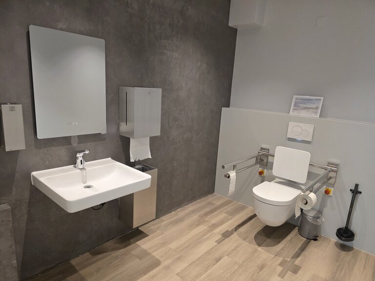 Das Bild zeigt ein modernes barrierefreies Badezimmer mit einem Waschbecken, einem Spiegel, einem Handtuchspender und einer Toilette mit Haltegriffen. Der Boden ist aus Holz, und die Wände sind in neutralen Grautönen gehalten.