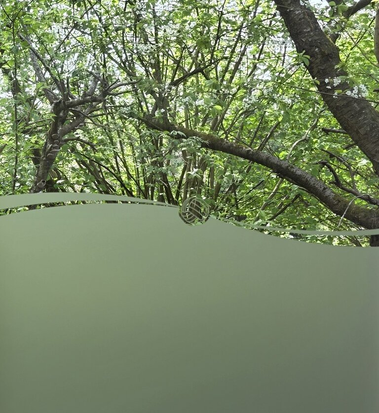 Ein verschwommener Blick auf einen grünen Baum mit dichten Blättern im Hintergrund, während im Vordergrund eine matte, geschwungene Glasoberfläche zu sehen ist.